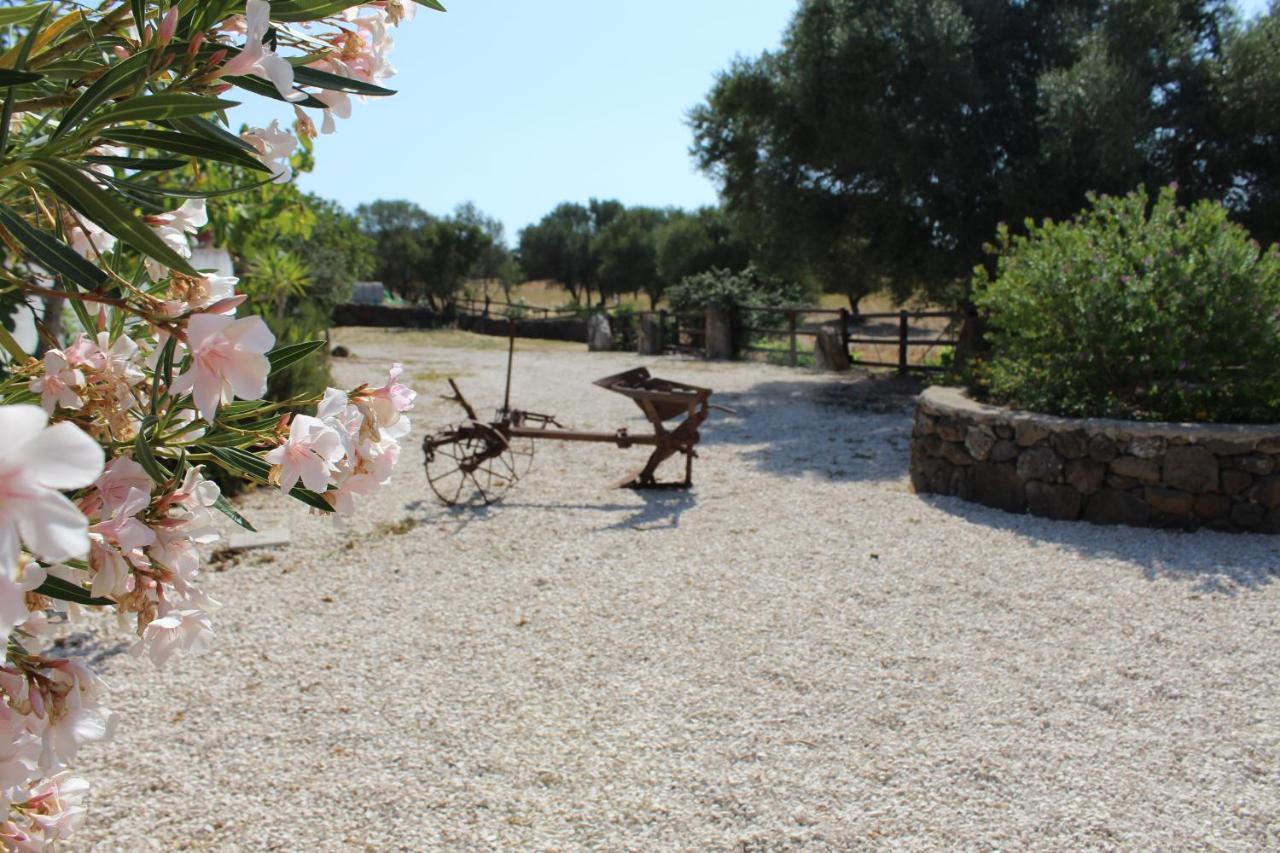 Agriturismo Pira Pinta Dorgali Exterior foto