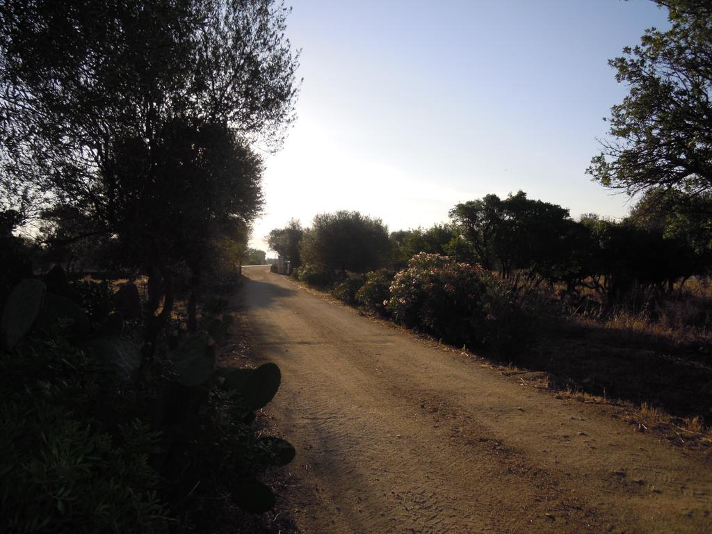 Agriturismo Pira Pinta Dorgali Zimmer foto